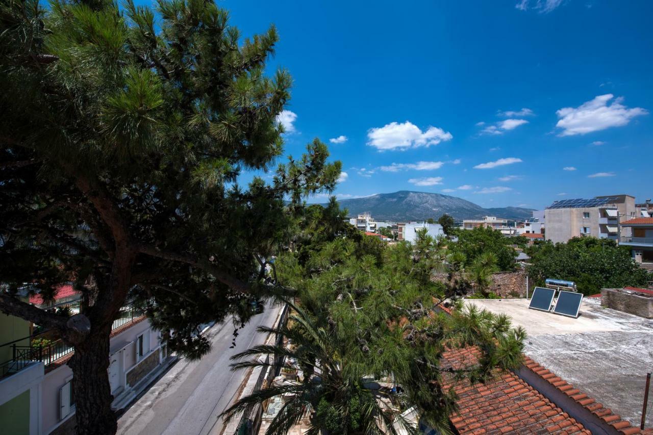 Top Floor Modern Studio In Central Apartment *